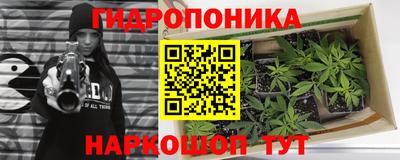 мдпв Шебекино