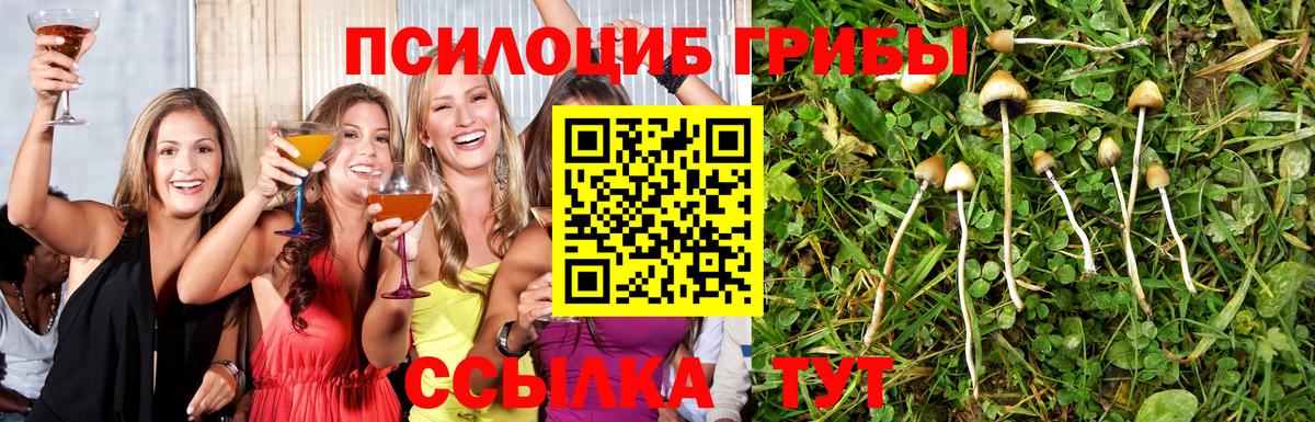 Барнаул  Галлюциногенные грибы Magic Shrooms  купить наркоту  Вход с VPN 